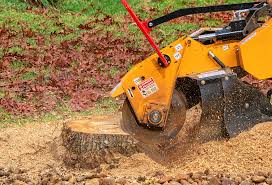 Best Tree Removal  in Reno, TX