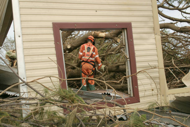 Best Tree and Shrub Care  in Reno, TX